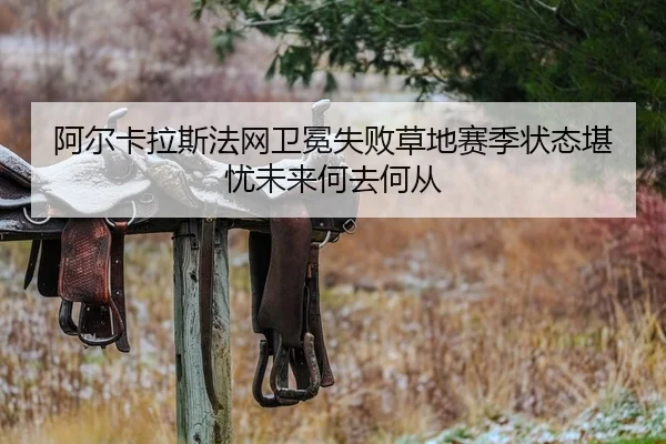 a-er-ka-la-si-fa-wang-wei-mian-shi-bai-cao-di-sai-ji-zhuang-tai-kan-you-wei-lai-he-qu-he-cong-2-533.jpg