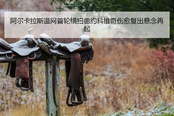 a-er-ka-la-si-wen-wang-shou-lun-heng-sao-de-yue-ke-wei-qi-shang-yu-fu-chu-xuan-nian-zai-qi-2-907.jpg