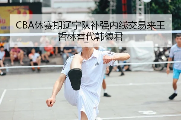 CBA休赛期辽宁队补强内线交易来王哲林替代韩德君