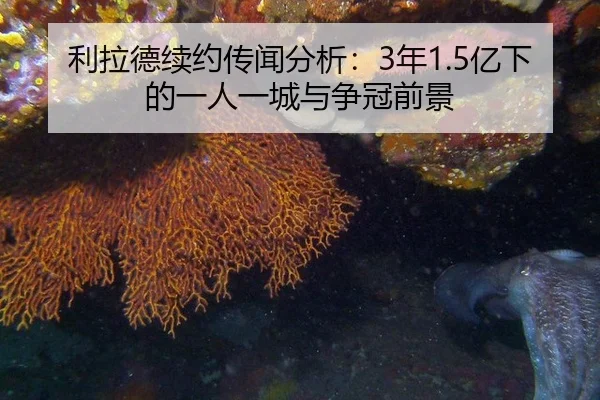 li-la-de-xu-yue-chuan-wen-fen-xi-nian-yi-xia-de-yi-ren-yi-cheng-yu-zheng-guan-qian-jing-2-729.jpg