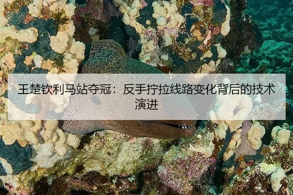 王楚钦利马站夺冠：反手拧拉线路变化背后的技术演进